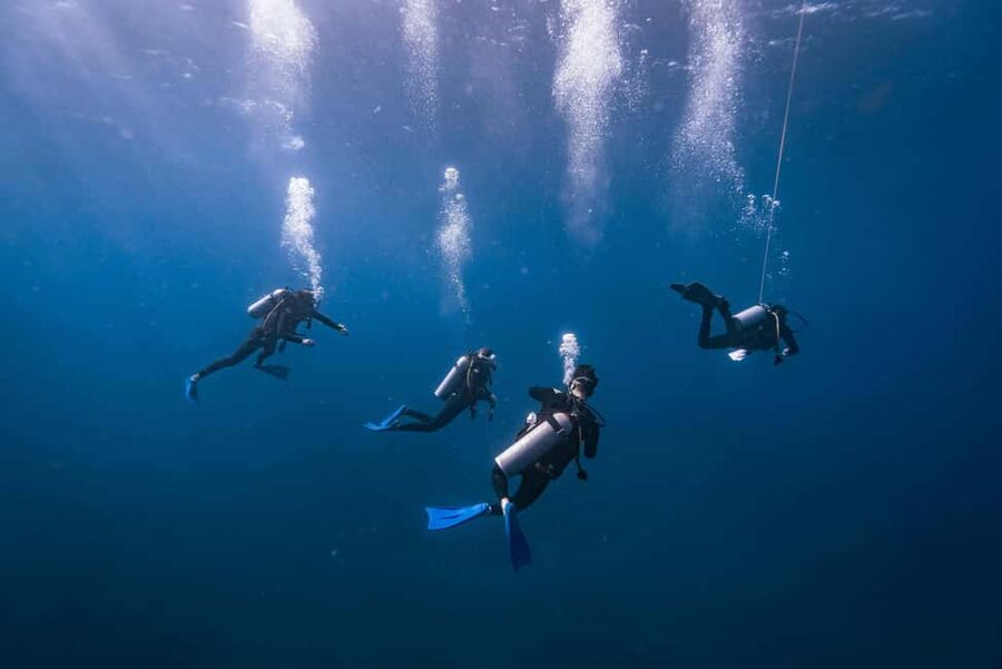 Isla Mujeres: Catamaran Ride with Open Bar, Snorkeling, and Lunch - The 30-minute snorkeling stop