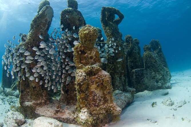 Isla Mujeres Catamaran Tour with Snorkeling at MUSA, Buffet Lunch & Open Bar - Open bar, music, and the ride home