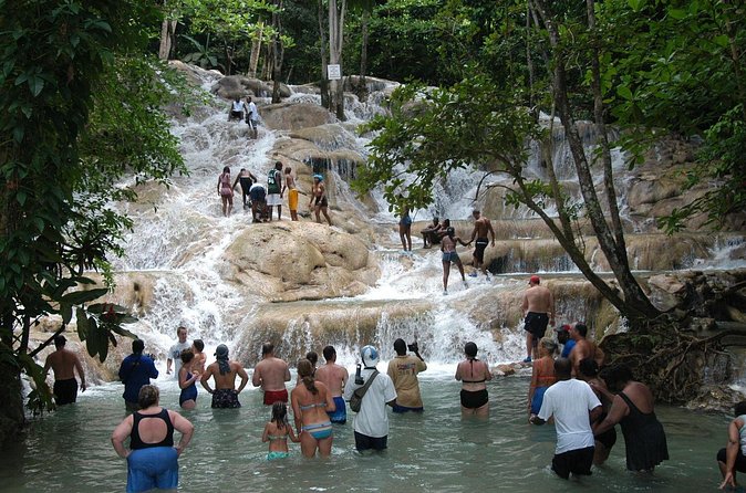 Jamaica Dunn's River Falls Party Cruise with Snorkeling - Snorkeling over coral and tropical fish