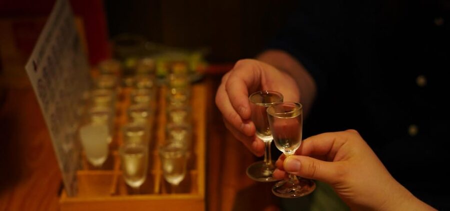 Japanese Sake Breweries Tour in Kyoto Fushimi - Kizakura Kappa Country and Kyoto Beer