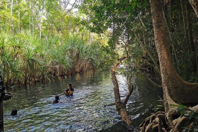 Jumping Croc Cruise, Berry Springs,Fogg Dam & Humpty Doo Pub - Why this Darwin day tour works