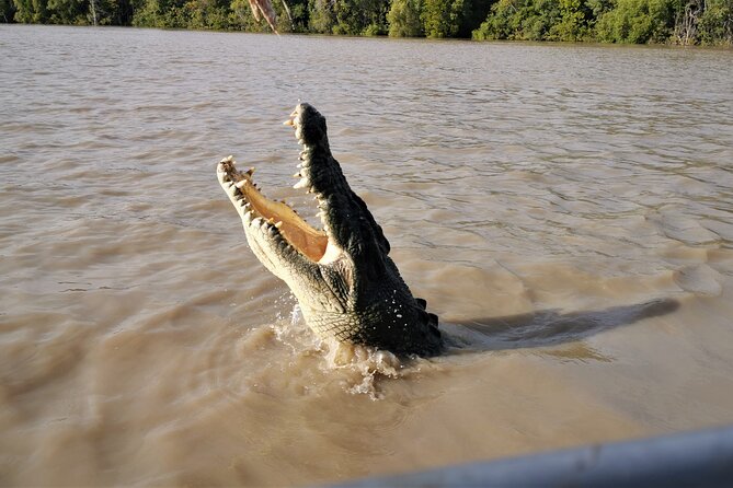 Jumping Croc Cruise, Berry Springs,Fogg Dam & Humpty Doo Pub - Price, group size, and what you receive