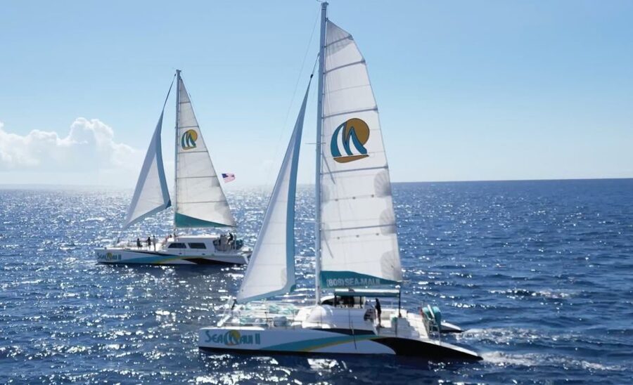 Kaanapali: Whale Watching Cruise with Open Bar - Open-bar drinks, snacks, and the social mood