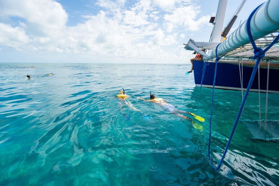 Key West: Afternoon Reef Snorkel Tour with Open Bar - Choosing the reef according to conditions