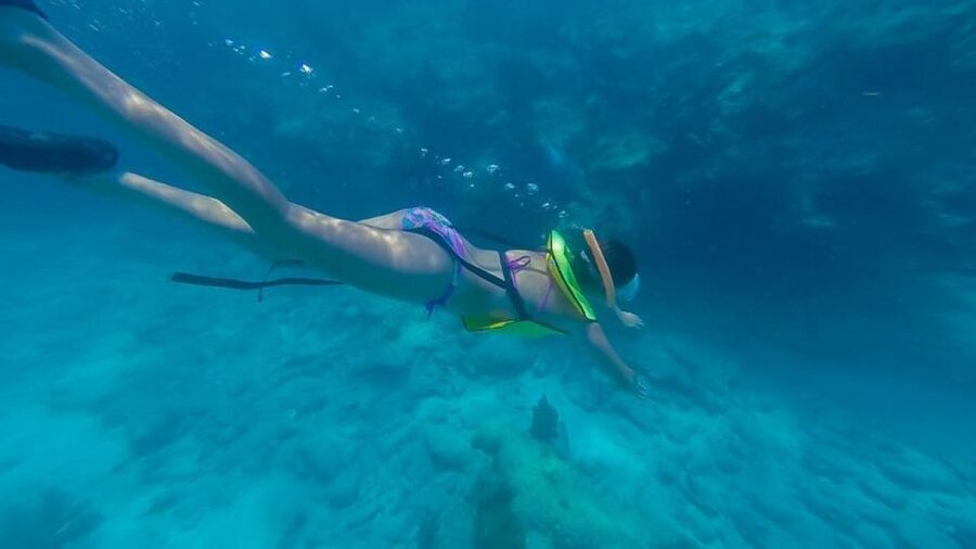 Key West: Afternoon Reef Snorkel Tour with Open Bar - About an hour among fish and coral