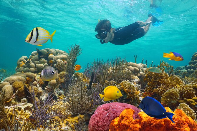 Key West Afternoon Reef Snorkeling with Open Bar - Setting out from 201 William Street