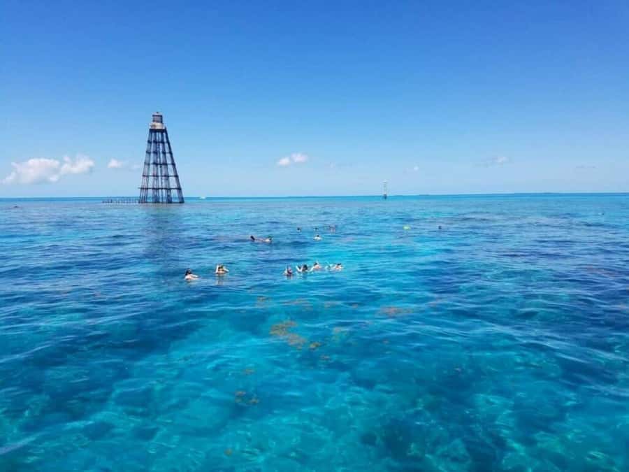 Key West: Catamaran Snorkel with Seafood Boil and Open Bar - Starting at the Historic Key West Seaport