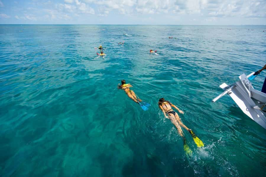 Key West: Catamaran Snorkel with Seafood Boil and Open Bar - Crew service and the beginner experience