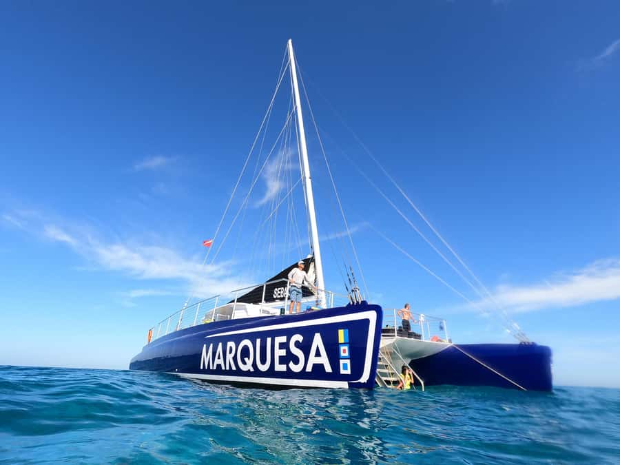 Key West: Catamaran Snorkel with Seafood Boil and Open Bar - A catamaran built for both water time and downtime
