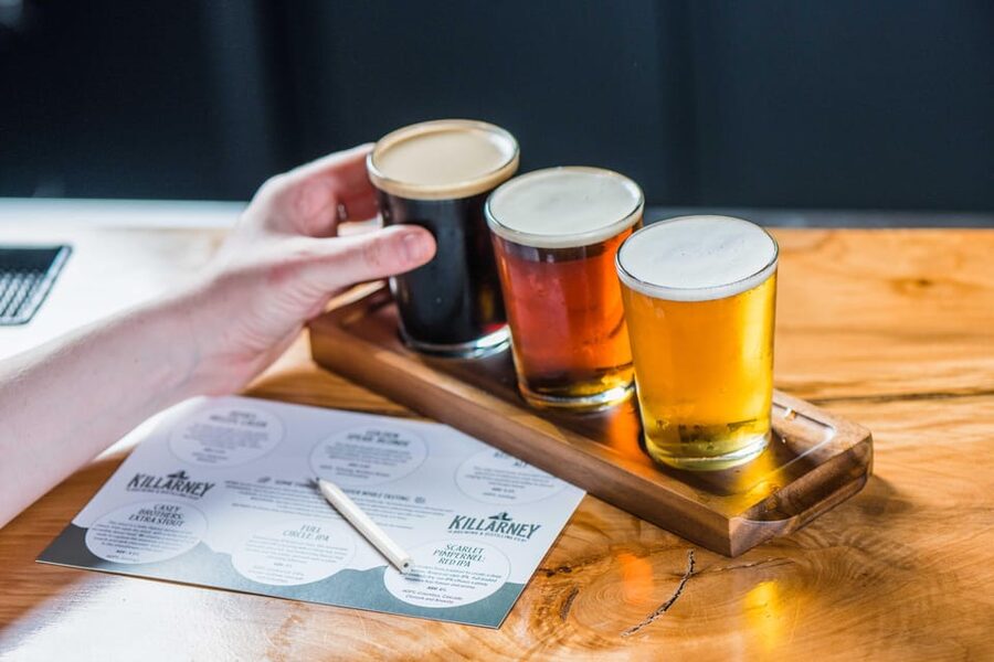 Killarney: Brewery Tour and Tasting - Who will enjoy this brewery experience?