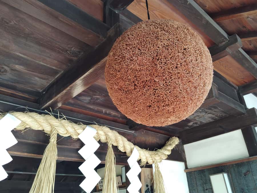 Kobe: 3-Hour Sake Breweries Tour with Special Tasting - What the tastings are really worth