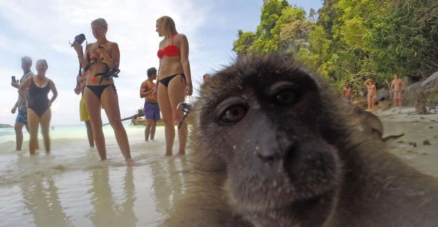Koh Phi Phi: Captain Bob's Private Booze Cruise - Key details before you book
