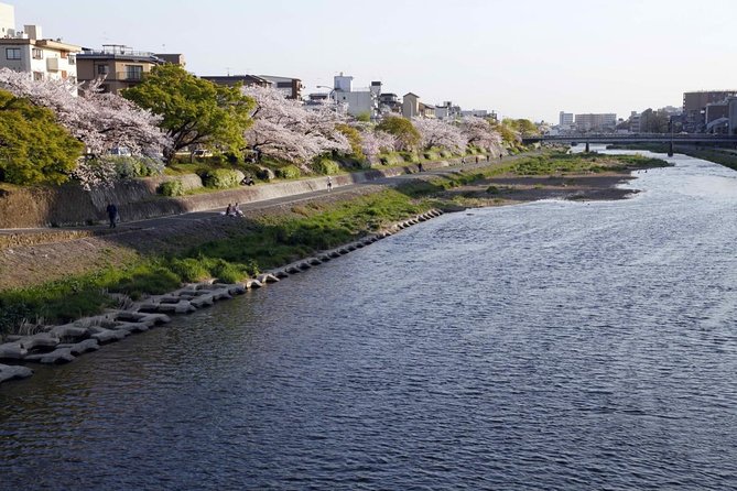 Kyoto Bar Hopping Night Tour - Key things to know before booking