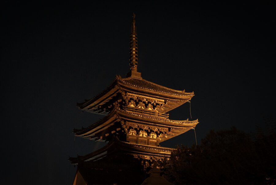 Kyoto: Izakaya Bars Guided Walking Tour - What the $25 price really covers