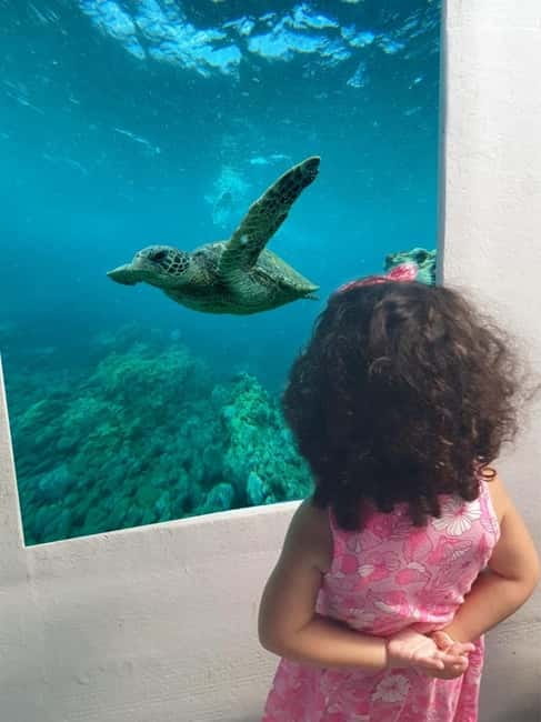 Larnaca: Yellow Submarine Swim Cruise with Unlimited Drinks - Key points before you book