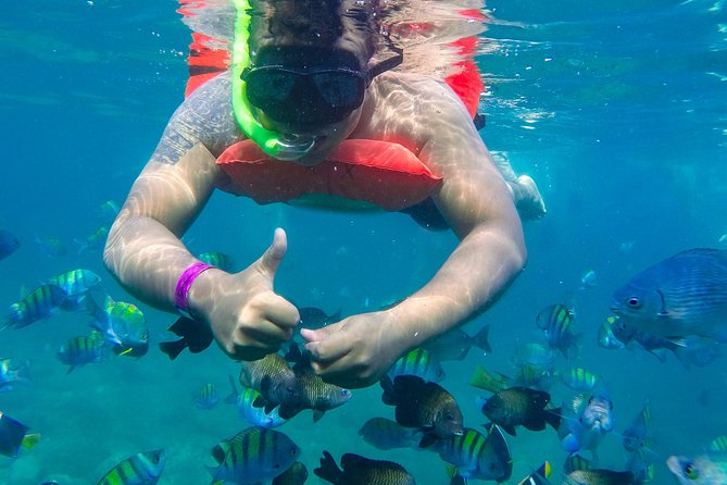 Las Caletas Beach & Adventure Park with buffet lunch and open bar - The buffet lunch and open bar