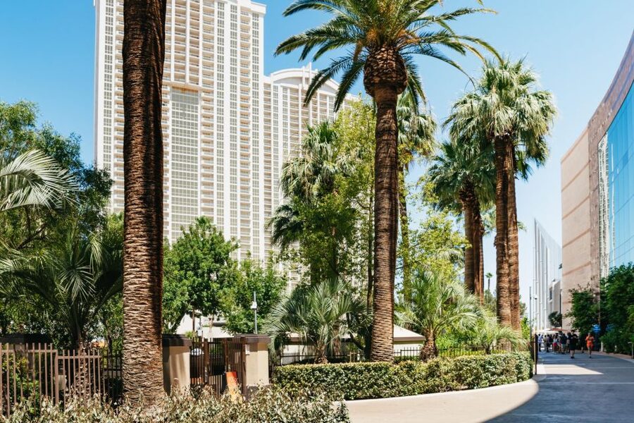 Las Vegas Strip: 3-Stop Pool Party Crawl with Party Bus - Dress codes, bags, and the small details that matter
