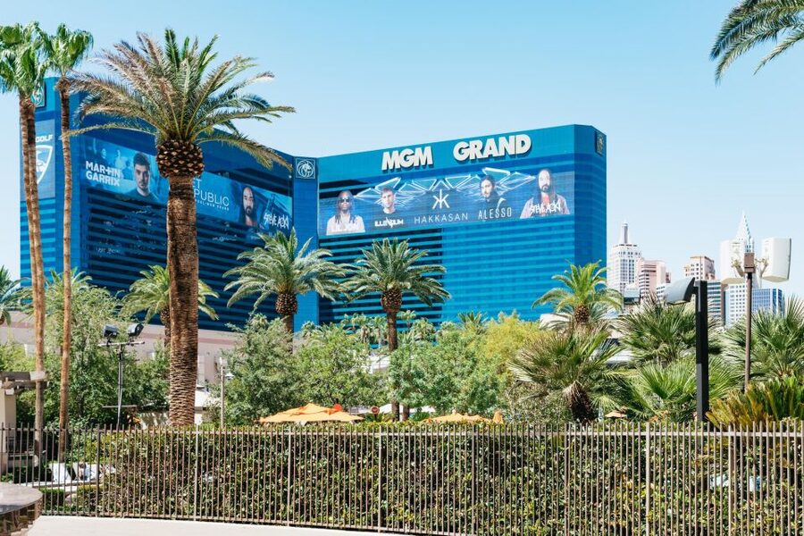 Las Vegas Strip: 3-Stop Pool Party Crawl with Party Bus - Who will enjoy this crawl most
