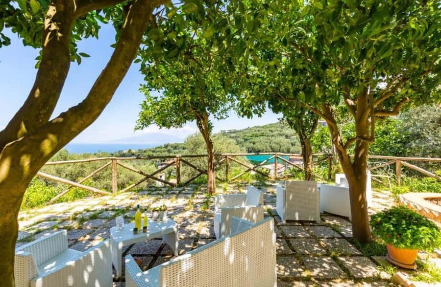 Lemon Grove Walk, Tastings, Aperitivo & Open Bar in Sorrento - Key points to know before you book