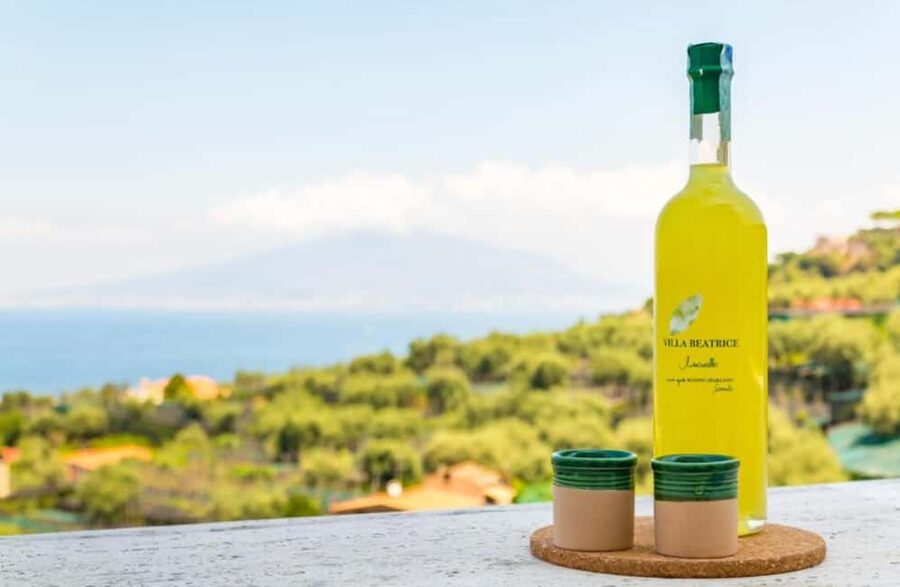 Lemon Grove Walk, Tastings, Aperitivo & Open Bar in Sorrento - Learning how lemons become liqueur and distillate