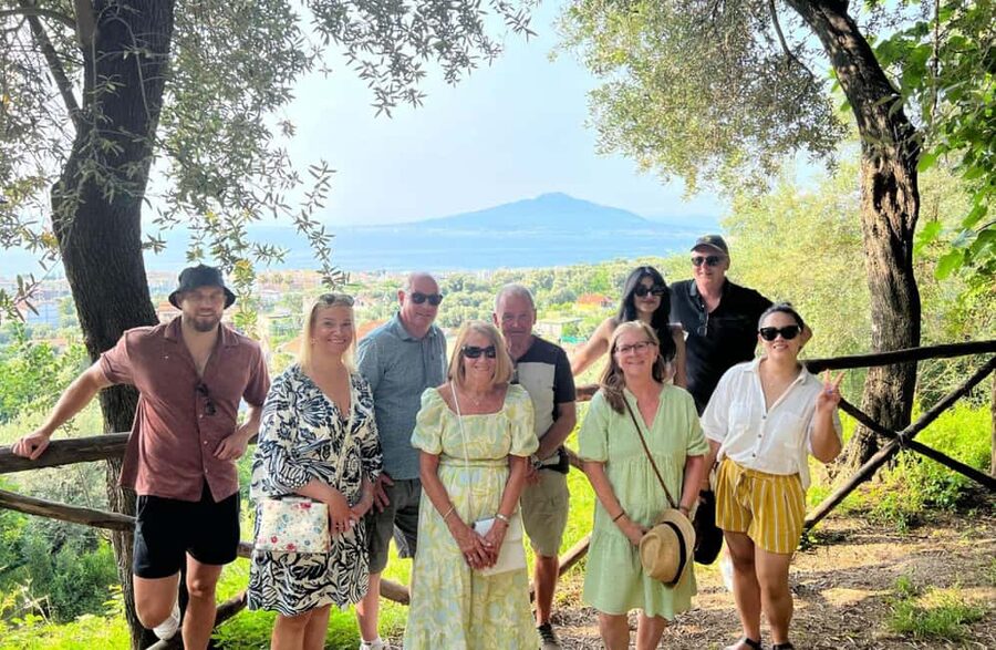 Lemon Grove Walk, Tastings, Aperitivo & Open Bar in Sorrento - How the included shuttle affects the visit