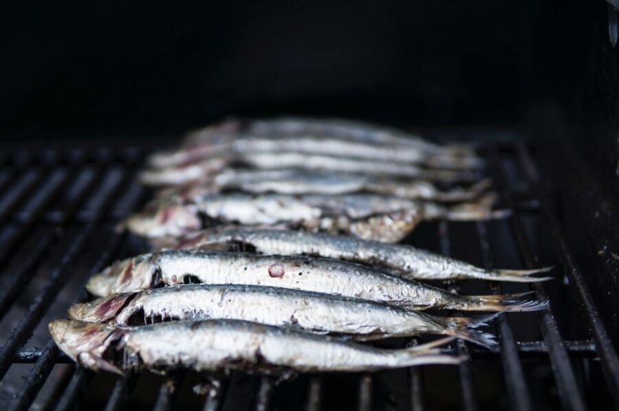 Lisbon: Cruise to the Beach with BBQ, Open Bar and Music - Key points to know before boarding
