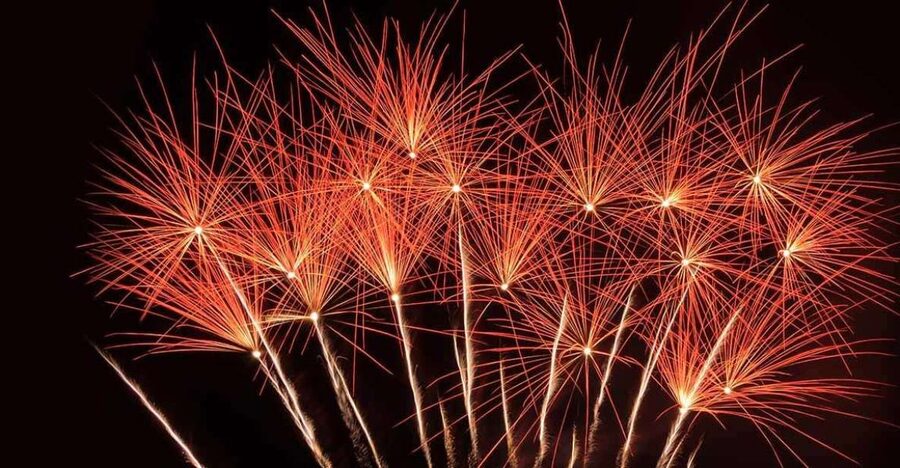 Lisbon: New Year's Eve Tagus River Cruise with Open Bar - Crew, languages, and the general atmosphere
