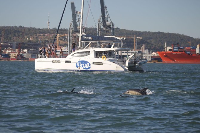 Lisbon: Sunset Cruise With Drinks on Spacious Yacht - The Tagus route, from Alfama to Belém