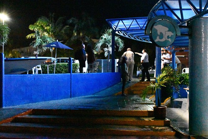 Live a Romantic Night Cruise Dinner at COLUMBUS (open bar included) - Live Saxophone, Dancing, and the Mood Onboard