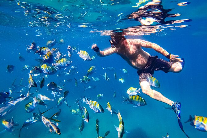 Luxury Yacht & Snorkel with All inclusive Open bar and lunch - Lunch, Drinks, and the Meaning of All-Inclusive