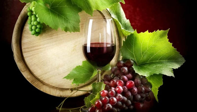 Madrid Wine Tasting, Flamenco Class and Trendy Bar - Add the professional show only if it suits your plans