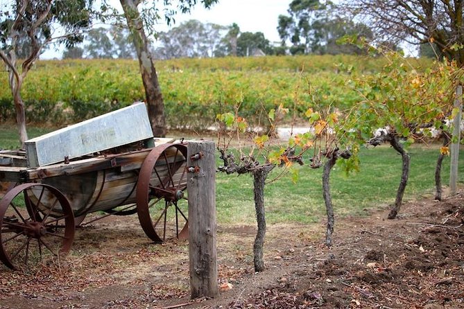 Maggie Beer Farm - Barossa Valley Regional Tour - The Whispering Wall gives the day an unusual opening