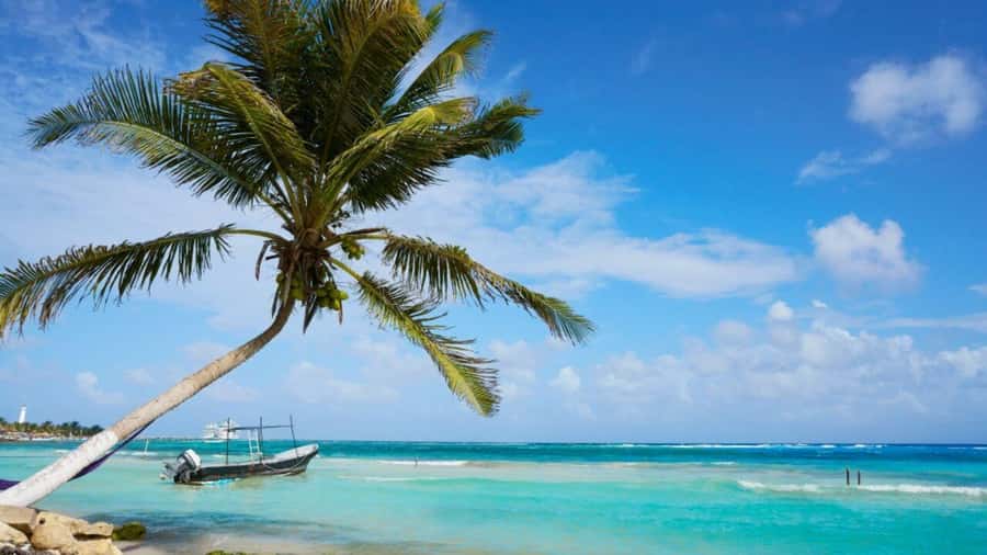 Mahahual: All-Inclusive Costa Maya Beach Break with Open Bar - Settling under a palapa in Mahahual