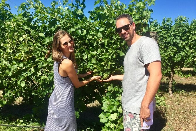 Margaret River Beer & Wine Adventure (departs Dunsborough/Busselton) - The guides shape the whole day