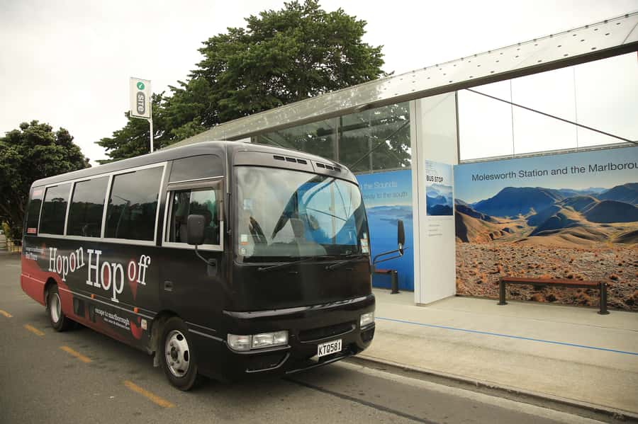 Marlborough: Hop-On Hop-Off Wine, Brewery, and Wonders Tour - Choosing between wine, beer, museums, and gin