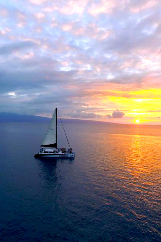 Maui: 2 Hour Sunset Dinner Sail with Open Bar and Appetizers - Practical tips for a smoother evening