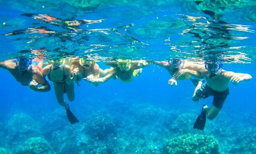 Maui: Kaanapali Beach 4-hour Snorkel w/ BBQ Lunch & Open Bar - Turtles, tropical fish, and possible dolphins