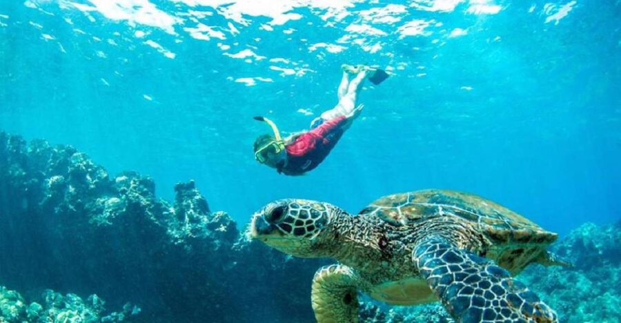 Maui: Kaanapali Beach 5-hr Snorkel w/ BBQ Lunch & Open Bar - Two snorkel sites chosen for the day