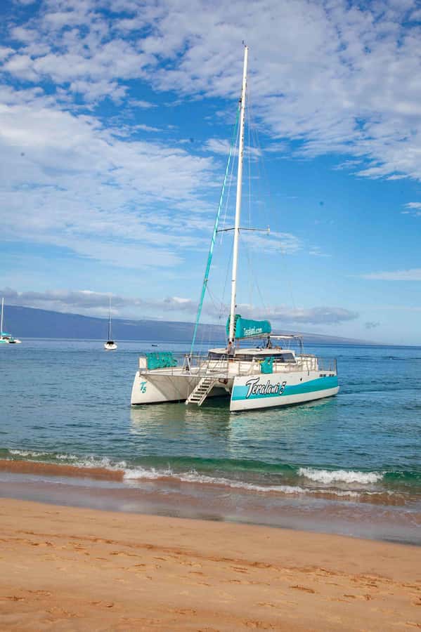 Maui: Kaanapali Whale Watching Boat with Open Bar and Food - Gourmet Pupus and an Open Bar