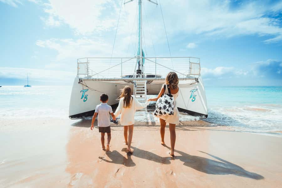 Maui: Kaanapali Whale Watching Boat with Open Bar and Food - Why the $167 Price Can Make Sense