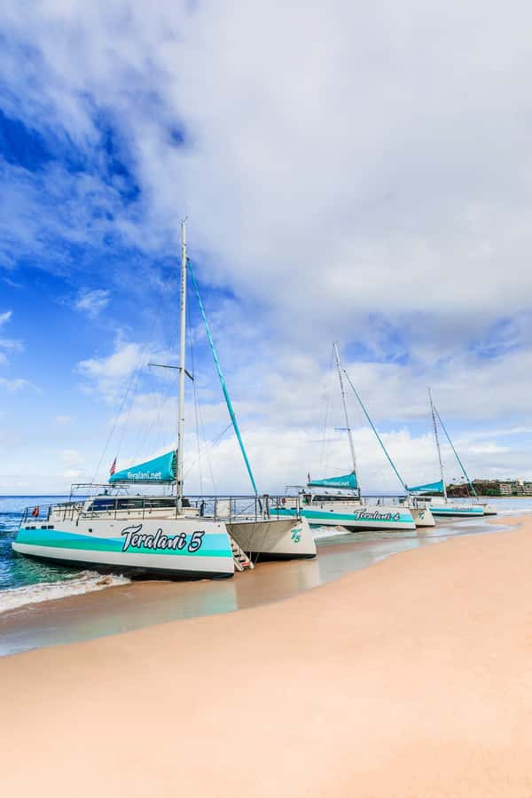 Maui: Kaanapali Whale Watching Boat with Open Bar and Food - What to Bring and What to Leave Behind