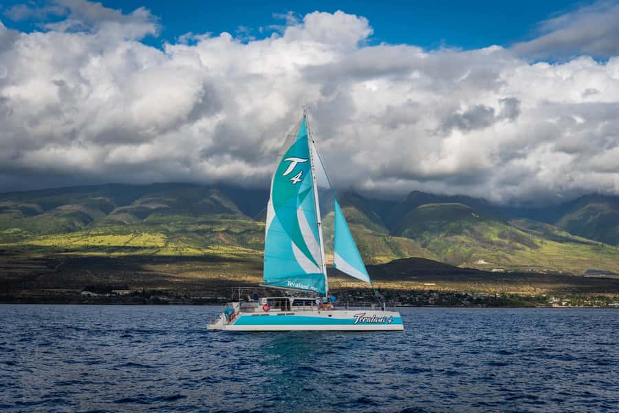 Maui: Kaanapali Whale Watching Boat with Open Bar and Food - Practical Booking Advice for the 2.5-Hour Trip