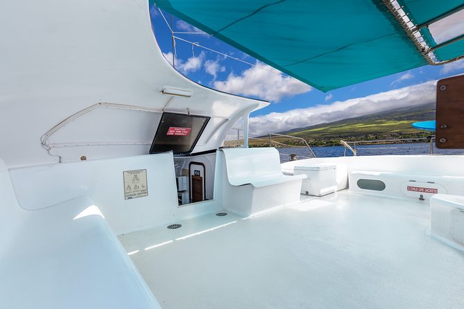 Maui: Whale Watching Cruise with Open Bar from Ka'anapali Beach - Open bar, snacks, and the social mood