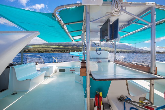 Maui: Whale Watching Cruise with Open Bar from Ka'anapali Beach - Where to sit for the best views