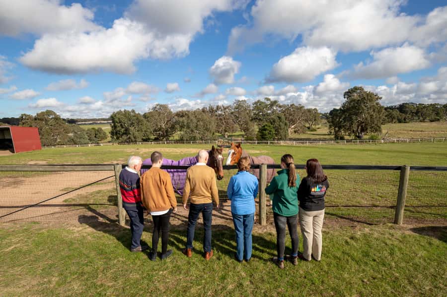 Melbourne: Full-Day Horses, Wine, and Beer Tour - Why this Melbourne day tour feels different
