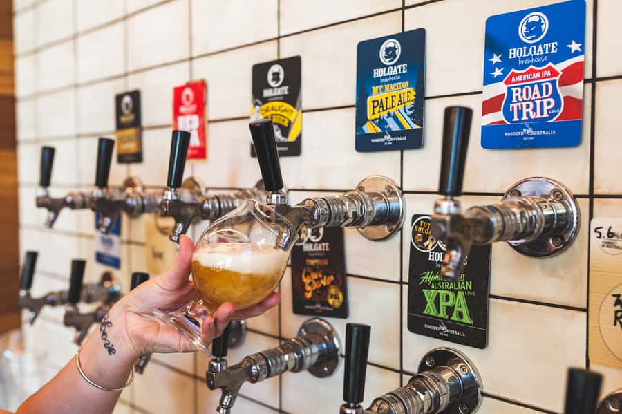 Melbourne: Full-Day Horses, Wine, and Beer Tour - My verdict on this three-stop regional outing