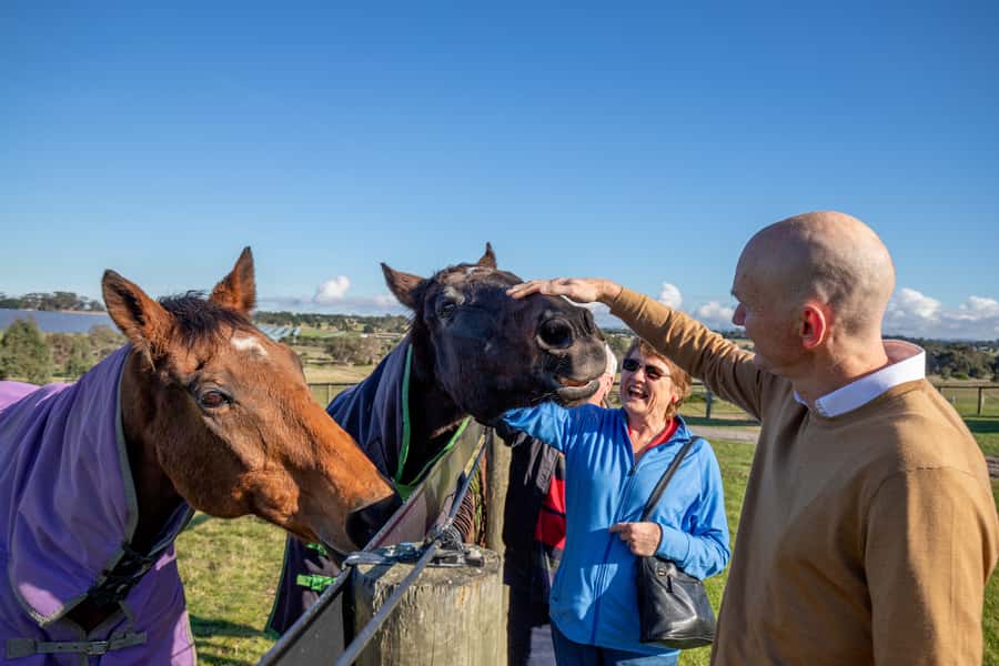 Melbourne: Full-Day Horses, Wine, and Beer Tour - Meeting retired champions at Living Legends