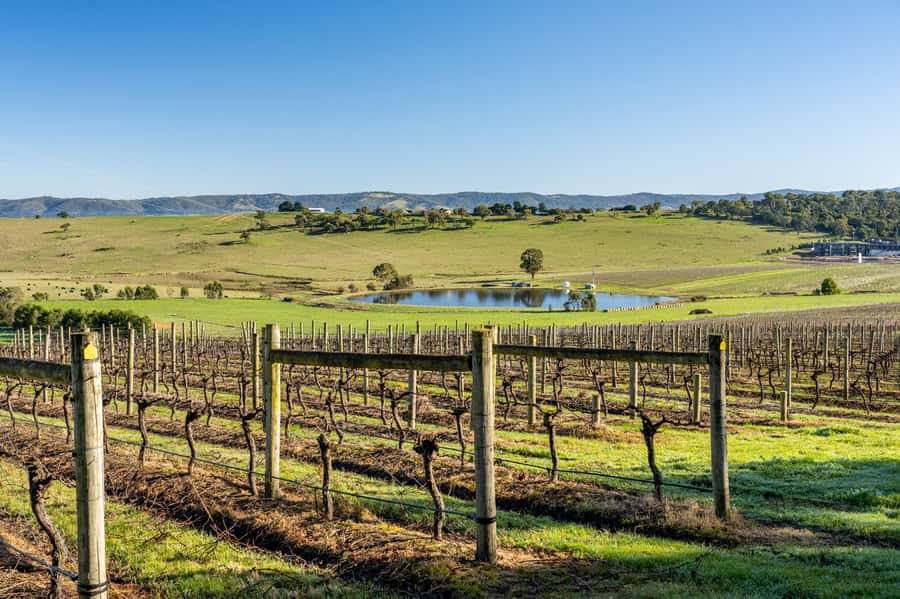 Melbourne: Yarra Valley Wine, Cider, Gin, Beer, & Choc Tour - Yering Farm, where wine and cider start the morning