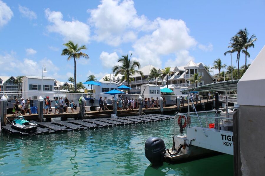 Miami: Key West Boat Tour w/ Optional Snorkeling & Open Bar - What This Miami to Key West Day Really Involves