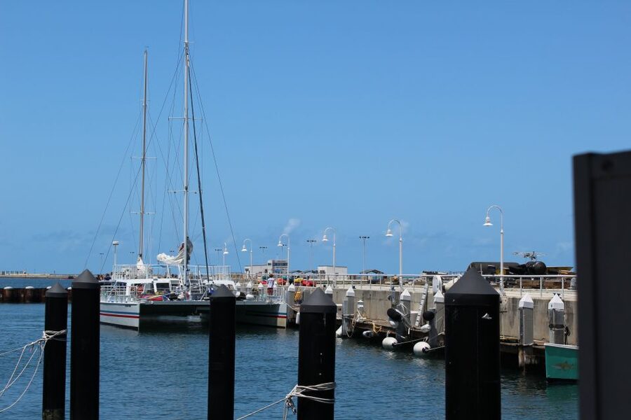 Miami: Key West Boat Tour w/ Optional Snorkeling & Open Bar - Practical Tips for a Better Day